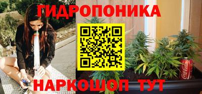 спиды Канаш