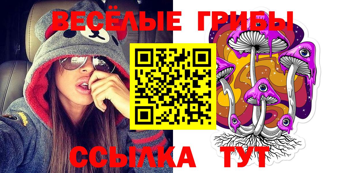 Галлюциногенные грибы MAGIC MUSHROOMS  Псилоцибиновые грибы MAGIC MUSHROOMS  Кувандык  Вход с VPN 